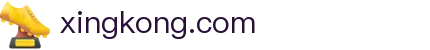 星空(中国)xingkong·官方网站-科技股份有限公司